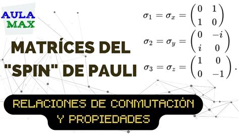 Representación de matríces del spín de Pauli y sus propiedades ...