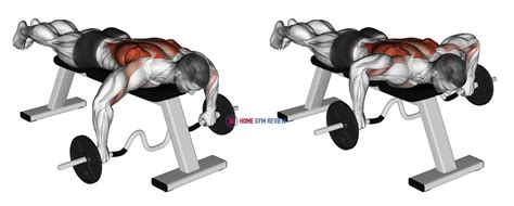 Cambered Bar Lying Row - Home Gym Review