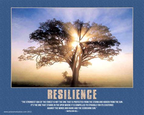 Resilience Quotes Posters. QuotesGram