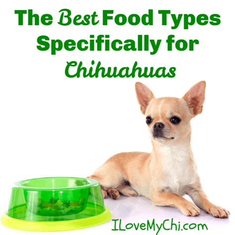 List Of Chihuahua Puppy Food Portions Ideas - Natureced