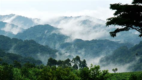 Location of Bwindi Impenetrable National Park | Bwindi Gorilla Tours