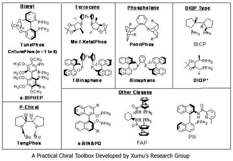 chiral - Phocabulary word - Photo Word of the Day to improve and ...