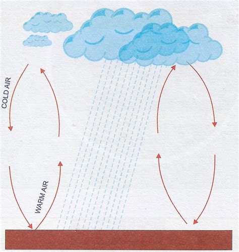 Draw a well labelled diagram showing convectional rainfall. | KnowledgeBoat