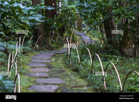 Pathway in a garden with stones Stock Photo - Alamy