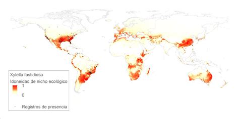 Scientists Map Risk of Exposure to Xylella