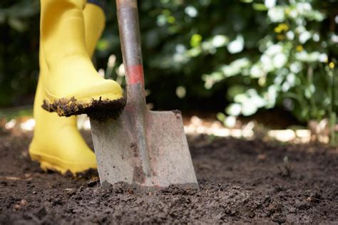 Using Shovels In The Garden - Types Of Garden Shovels And Their Uses