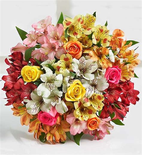 Assorted Roses & Peruvian Lilies in Las Vegas, NV | M.C. Gardens ...