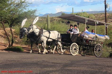 Horse & Carriage at your Wedding - Saguaro Buttes Tucson