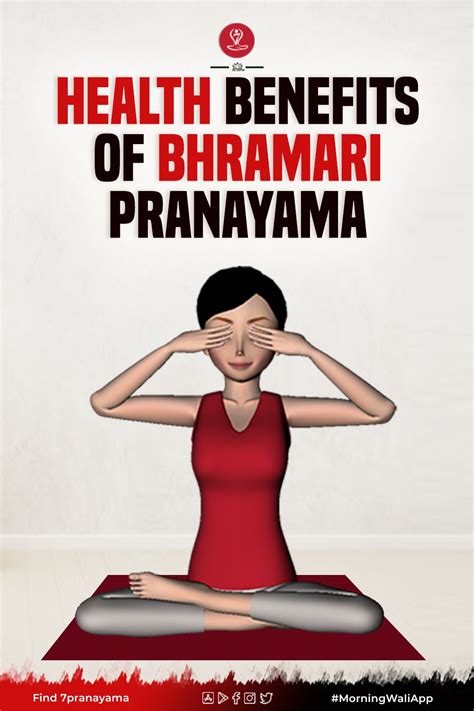 All you need to know about types of pranayama and their benefits – Artofit