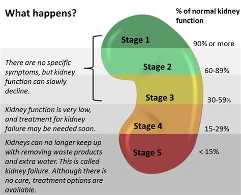 chronic kidney disease stages - Robert Wilson