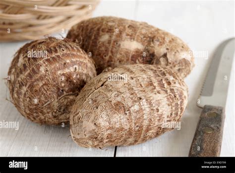 Eddoe or Eddo is a tropical root vegetable closely related to Taro ...