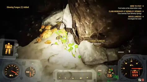 Where To Find Glowing Fungus In Fallout 76 | The Nerd Stash