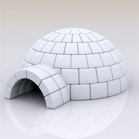 igloo house max