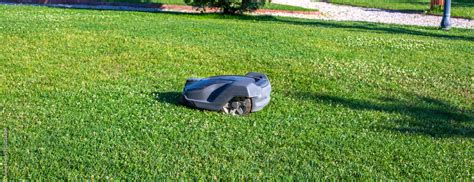 Lawn robot mows the lawn. Robotic Lawn Mower cutting grass Stock Photo ...