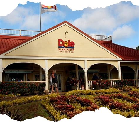 Dole Plantation Oahu | Discover Hawaii's Dole Pineapple Plantation