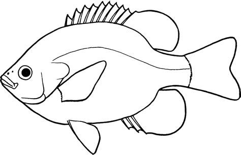 Free Fish Line Drawing, Download Free Fish Line Drawing png images ...