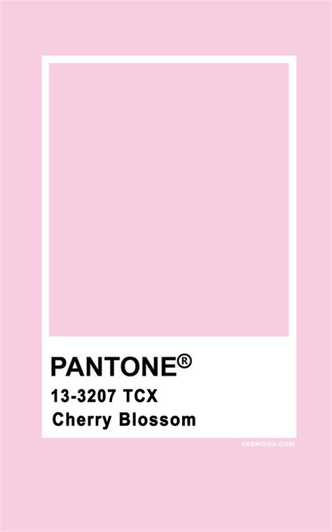 Cherry Blossom Pink Color Code