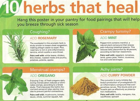 Herbal Medicine Quotes. QuotesGram