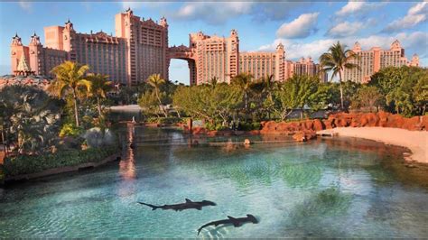 Atlantis Aquarium - Paradise Island, Bahamas 3 - YouTube