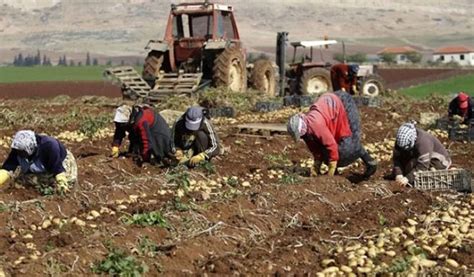 Israel blocks Palestinian agricultural exports