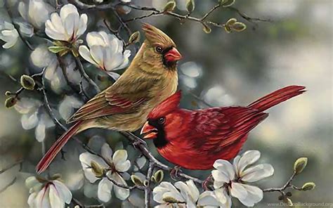 Birds: Cardinal Pair Painting Bird Animal Cardinals Avian Wildlife ...