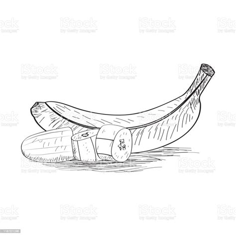 Sketch Of A Cut Banana Stock Illustration - Download Image Now - Art ...