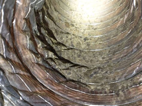 Mold in Flex Ducting – RTS Environmental Services