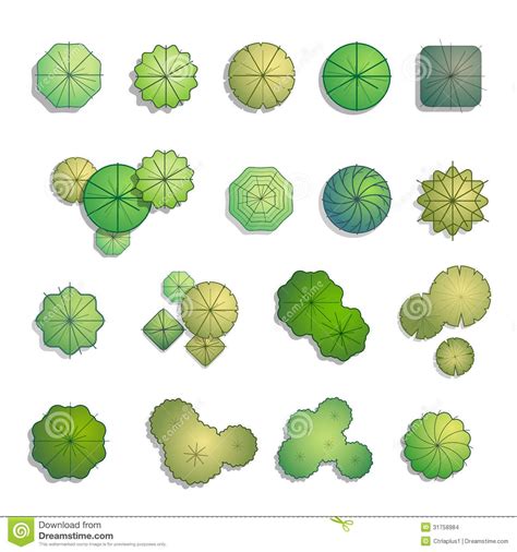 Trees top view for landscape design | Trees top view, Vector trees ...