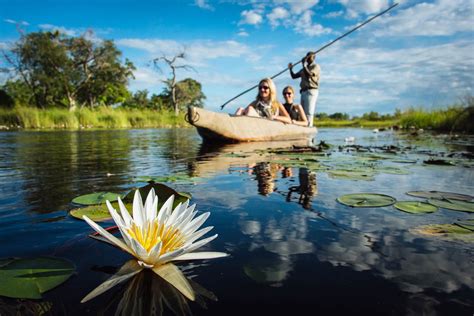 Botswana-Okavango-Delta-Mokoro-Safari-Guide-Water-Lily-Timbuktu-Travel ...