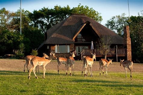 Kruger Park Lodge: Sabi Sands Safari | Kruger Park Accommodation