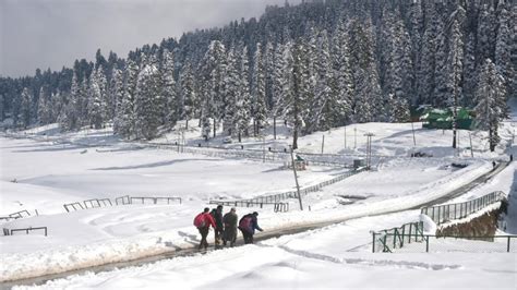 Kashmir: Snowfall brings cheer to tourists, relief from intense cold