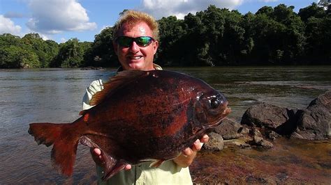 There's A Fish With Human Teeth: 5 Facts About The Pacu - WorldAtlas