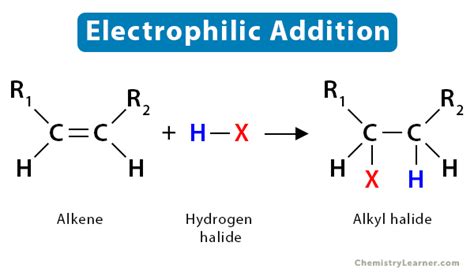 Electrophilic Addition: Definition, Examples, and Mechanism