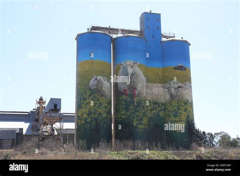 Merriwa Silo Art, Merriwa, New South Wales, Australia Stock Photo - Alamy