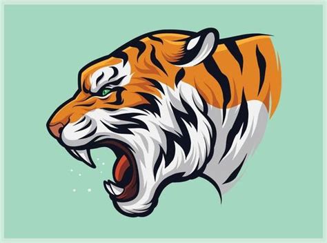 Tiger Vector Art, Icons, and Graphics for Free Download