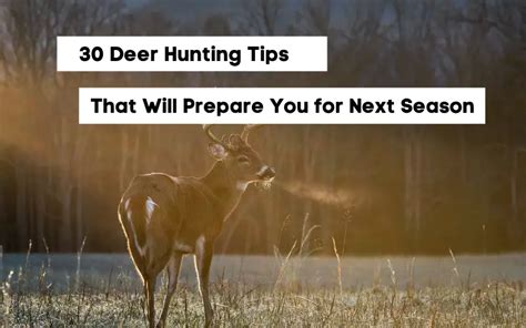 15 Deer Hunting Tips You'll Want To Know - Hunting Critic