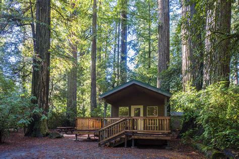 Campsites In Redwood National Park | Kids Matttroy