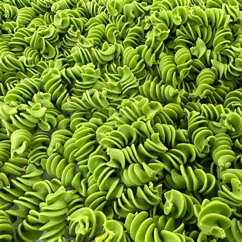 Vegan Fusilli Pasta with Spinach – Wildly Beloved Foods