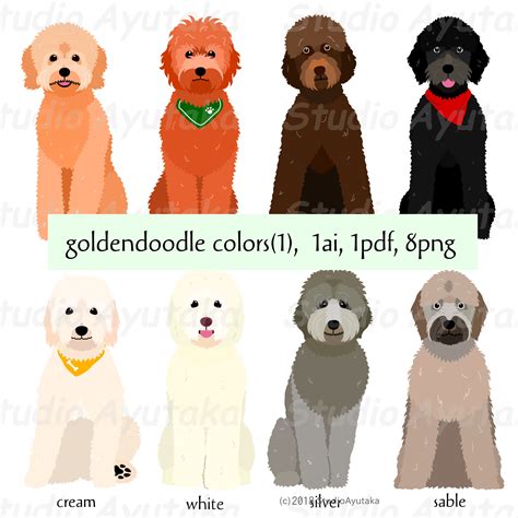 16 Colors Of Goldendoodle Chart, Pdf, Jpg, Png, 16*20 ...