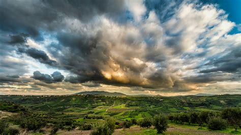 Green Forest Under Cloudy Sky · Free Stock Photo