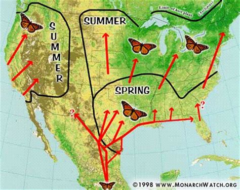 Monarch Migration Photo Gallery - Door Landscape & Nursery