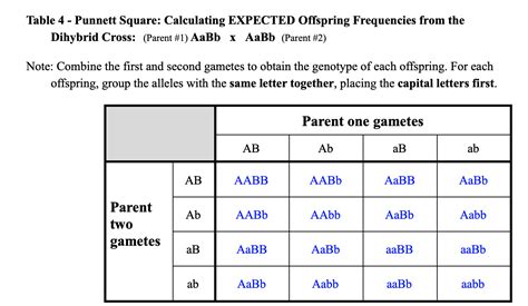 20+ Punnett Square Dihybrid Cross Calculator - HargeetBeau