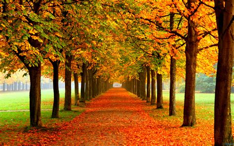 Autumn Leaves | speechbuilders.org