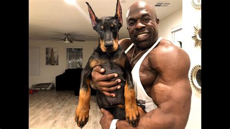 TRAINING MY DOBERMAN PUPPY | Kali Muscle - YouTube