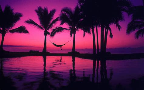 65 Purple Beach HD Wallpapers - Download at WallpaperBro | Beach sunset ...