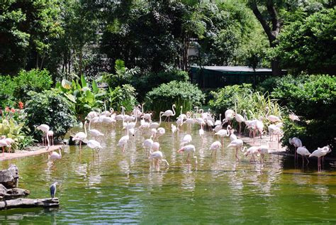 Tourist Guide to Kowloon Park in Hong Kong