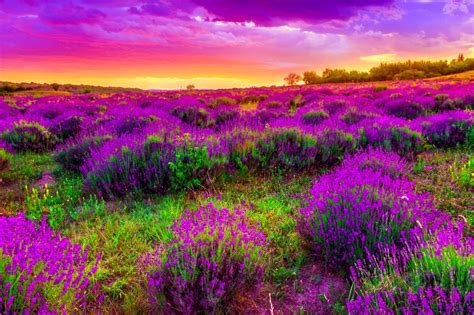 🔥 Download Beautiful Spring Landscape Widescreen Wallpaper by ...