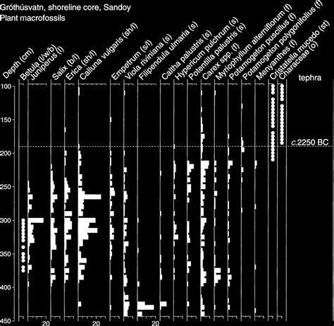 Results of the continuous plant macrofossil samples from Gró thú ...