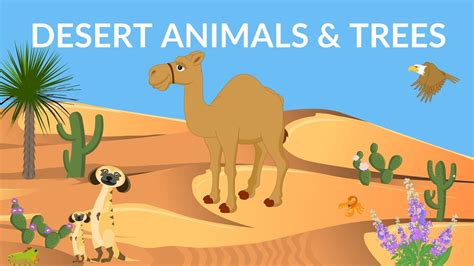 Desert animals for kids