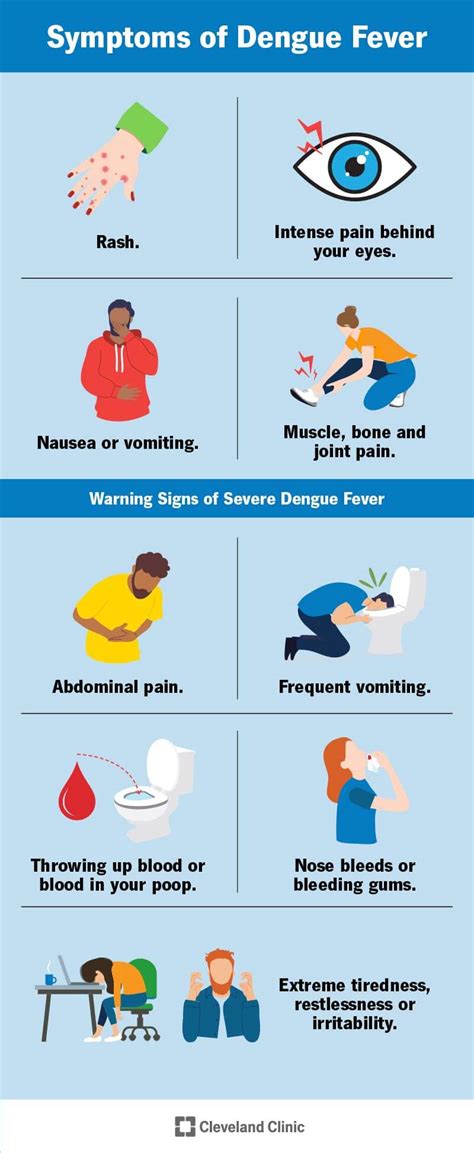 Risk Factors And Precautions For Dengue Fever - Ask The Nurse Expert